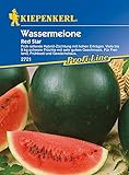 Melonen Wassermelone Red Star F1 Foto, neu 2024, bester Preis 5,24 € (5,24 € / Stück) Rezension