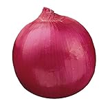 Burpee Red Creole Onion Seeds 300 seeds Photo, new 2024, best price $6.56 review