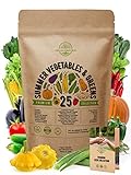 25 Summer Vegetable Garden Seeds Variety Pack for Planting Outdoors and Indoor Home Gardening 2500+ Non-GMO Heirloom Veggie & Salad Green Seeds: Collards Tomato Pepper Okra Onion Bean Cucumber & More Photo, new 2024, best price $21.99 ($0.88 / Count) review