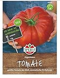Tomate Gigantomo F1 (Fleischtomate), größte Tomate der Welt, sehr aromatisch Foto, neu 2024, bester Preis 3,43 € (3,43 € / Stück) Rezension