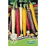Germisem Rainbow F1 Mix Semillas de Zanahoria 1 g, EC9025 Foto, nuevo 2024, mejor precio 3,68 € revisión