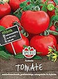 83461 Sperli Premium Tomatensamen Fanatsio | Hochresistent |Tomatensamen Resistent | Aromatische | Ertragreich | Tomaten Samen | Tomatensamen alte Sorten Freiland | Tomaten Saatgut Foto, neu 2024, bester Preis 4,97 € Rezension