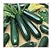 Photo David's Garden Seeds Zucchini Black Beauty 1454 (Green) 50 Non-GMO, Heirloom Seeds review