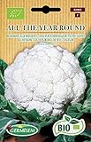 Germisem Bio Graines Chou-fleur Merveille de toutes saisons ALL THE YEAR ROUND Photo, nouveau 2024, meilleur prix 6,76 € examen
