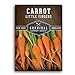 Photo Survival Garden Seeds - Little Fingers Carrot Seed for Planting - Packet with Instructions to Plant and Grow Delicious Baby Carrots in Your Home Vegetable Garden - Non-GMO Heirloom Variety - 1 Pack review