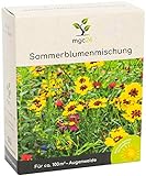 mgc24® Sommerblumenmischung - Blumenmischung für nützliche Insekten ein- & mehrjährig 100g für 100m² Foto, neu 2024, bester Preis 5,99 € (59,90 € / kg) Rezension
