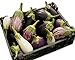 Photo Eggplant Garden Blend 325 Eggplant Seeds +1 Plant Marker - Excellent Varieties review