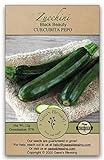 Gaea's Blessing Seeds - Zucchini Seeds - Non-GMO - with Easy to Follow Planting Instructions - Heirloom Black Beauty Summer Squash 97% Germination Rate Photo, new 2024, best price $5.99 review
