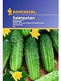 Kiepenkerl Salatgurke DelikateÃŸ Foto, neu 2024, bester Preis 1,82 € Rezension