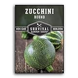 Survival Garden Seeds - Round Zucchini Seed for Planting - Pack with Instructions to Plant and Grow Small Green Zucchinis in Your Home Vegetable Garden - Non-GMO Heirloom Variety Photo, new 2024, best price $4.99 review