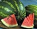 Photo Watermelon, Jubilee , Heirloom, 20 Seeds, Large, Sweet N Delicious review