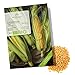 Foto BIO Zuckermais Samen (Golden Bantam, 30 Korn) - Mais Saatgut aus biologischem Anbau ideal für die Anzucht im Garten, Balkon oder Terrasse Rezension
