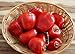 Foto Hot Chili Pfeffer Rocoto Rot - Manzano - Pepper - 10 Samen Rezension
