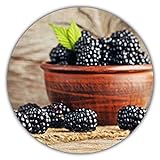 Riesen Brombeeren - Ca. 50 Samen - Gesunde & Vitaminreiche Früchte Foto, neu 2024, bester Preis 3,49 € Rezension