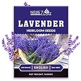 1400 English Lavender Seeds for Planting Indoors or Outdoors, 90% Germination, to Give You The Lavender Plant You Need, Non-GMO, Heirloom Herb Seeds Photo, new 2024, best price $5.99 ($0.01 / Count) review