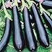 Photo Seeds Eggplant Aubergine Long Pop Black Vegetable Heirloom for Planting Non GMO review