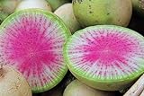 100 Radis Melon d'eau des graines de radis très unique Photo, nouveau 2024, meilleur prix 4,59 € examen