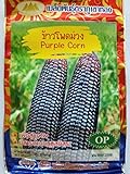 Thai Purple Waxy Glutinous Corn Seeds Photo, new 2024, best price $6.99 ($13.19 / Ounce) review