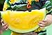 Foto Gelb Wassermelone JANOSIK Samen - Wassermelone Rezension