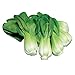 Photo Burpee Toy Choi Cabbage Seeds 200 seeds review