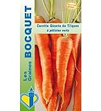 Sachet de graines de Carotte géante de Tilques - 2 g - légume racine - LES GRAINES BOCQUET Photo, nouveau 2024, meilleur prix 5,49 € (2 745,00 € / kg) examen
