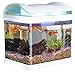 Foto Sweetypet Aquarium: Transport-Fischbecken mit Filter, LED-Beleuchtung und USB, 3,3 Liter (Mini Aquarium) Rezension
