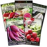 Sow Right Seeds - Radish Seed Collection for Planting - Champion, Watermelon, French Breakfast, China Rose, and Minowase (Diakon) Varieties - Non-GMO Heirloom Seed to Plant a Home Vegetable Garden Photo, new 2024, best price $10.99 review