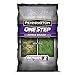 Photo Pennington One Step Complete Dense Shade Bare Spot Grass Seed, 10 Pounds, White review