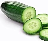 Grown in USA! 30+ Muncher Burpless Sweet Cucumber Seeds, Heirloom Non-GMO, Non-Bitter and Acid Free, Crispy and Sweet, Fragrant and Delicious, Cucumis sativus Photo, new 2024, best price $2.69 ($25.43 / Ounce) review