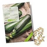 BIO Zucchini Samen (Nero di Milano) - Zucchini Saatgut aus biologischem Anbau ideal für die Anzucht im Garten, Balkon oder Terrasse Foto, neu 2024, bester Preis 4,90 € Rezension