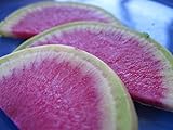 Radish Watermelon Great Heirloom Vegetable by Seed Kingdom 200 Seeds Photo, new 2024, best price $1.95 ($0.01 / Count) review