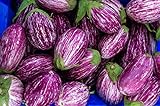 Fairy Tale F1 Eggplant Seeds - Non-GMO - 10 Seeds Photo, new 2024, best price $6.99 review