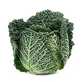 Savoy Perfection Cabbage Seeds - 50 Count Seed Pack - Non-GMO - A Unique Hardy Crop with a Sweet and Delicate Flavor That Makes an Excellent Addition to Many Dishes. - Country Creek LLC Photo, new 2024, best price $2.29 ($0.05 / Count) review