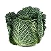 Photo Savoy Perfection Cabbage Seeds - 50 Count Seed Pack - Non-GMO - A Unique Hardy Crop with a Sweet and Delicate Flavor That Makes an Excellent Addition to Many Dishes. - Country Creek LLC review