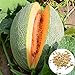 Foto Semillas de melón cantaloupe, 1 bolsa de semillas dulce germen jugoso semillas de frutas naturales de la huerta revisión