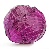Red Acre Cabbage Seeds, 250 Heirloom Seeds Per Packet, Non GMO Seeds, Botanical Name: Brassica oleracea VAR. capitata f. rubra, Isla's Garden Seeds Photo, new 2024, best price $5.25 ($0.02 / Count) review