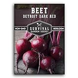 Survival Garden Seeds - Detroit Dark Red Beet Seed for Planting - Packet with Instructions to Plant and Grow Delicious Root Vegetables in Your Home Vegetable Garden - Non-GMO Heirloom Variety Photo, new 2024, best price $4.99 review