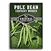 Photo Survival Garden Seeds - Kentucky Wonder Pole Bean Seed for Planting - Packet with Instructions to Plant and Grow Delicious Snap Beans in Your Home Vegetable Garden - Non-GMO Heirloom Variety review