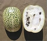 10 Seeds Shark fin Melon chilacayote fig leaved Malabar Gourd Heirloom Very Rare Photo, new 2024, best price $8.99 ($0.90 / Count) review