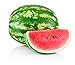 Photo Crimson Sweet Watermelon Seeds for Planting - Large 200 Count Premium Heirloom Seeds Packet! review