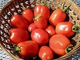 75+ Roma VFN- Heirloom Tomato Seeds Photo, new 2024, best price $3.89 review