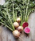 Burpee Watermelon Radish Seeds 300 seeds Photo, new 2024, best price $7.28 ($0.02 / Count) review