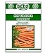 Photo Imperator Carrot Seeds - 500 Seeds Non-GMO review