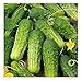 Photo David's Garden Seeds Cucumber Pickling Boston 3399 (Green) 50 Non-GMO, Heirloom Seeds review