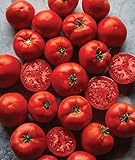 Burpee Big Boy' Hybrid Large Slicing Red Tomato Rich Flavor, 50 seeds Photo, new 2024, best price $8.63 ($0.17 / Count) review