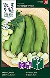 Ackerbohnen Samen für Gemüsegarten - Nelson Garden Saatgut Dicke Bohnen (40 Stück) (Bohne, Acker, Einzelpackung) Foto, neu 2024, bester Preis 3,45 € Rezension