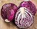 Photo NIKA SEEDS - Vegetable Cabbage Purple - 150 Seeds review