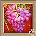 Foto Neue Samen 2016!100 Samen/Beutel 12 Arten von Traubenkernen Advanced Fruit Seed Natural Growth Trauben Sweet Kyoho Gardening Rezension