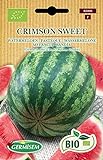 Germisem Wassermelone CRIMSON SWEET, ECBIO5006 Foto, neu 2024, bester Preis 3,99 € Rezension