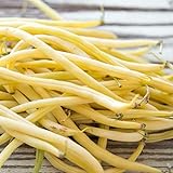 Golden Wax Bush Bean Plant Seeds, 50 Heirloom Seeds Per Packet, Non GMO Seeds, (Isla's Garden Seeds), Botanical Name: Phaseolus vulgaris, 85% Germination Rates Photo, new 2024, best price $5.99 ($0.12 / 50) review